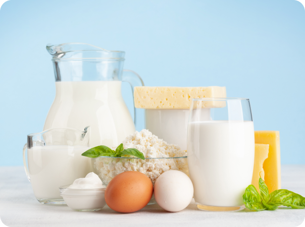 Productos variados que aportan calcio como, leche, huevos, queso, etc
